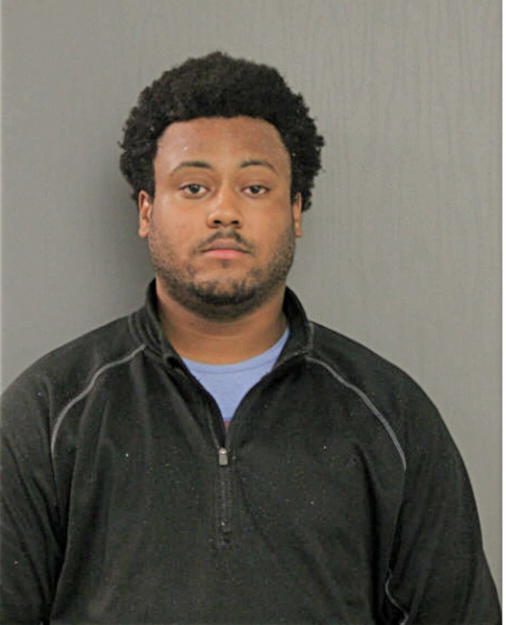 LANGSTON P ELLINGTON, Cook County, Illinois