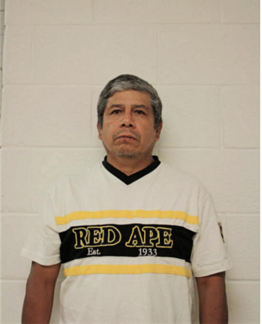 FERNANDO FLORES, Cook County, Illinois