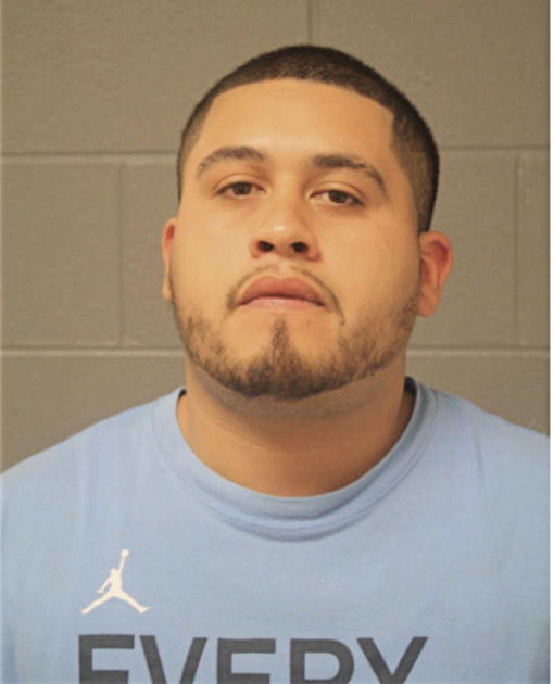 FABIAN N FRANCO, Cook County, Illinois