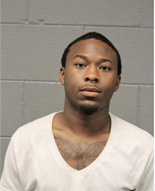 TERRANCE A GRIGGS, Cook County, Illinois