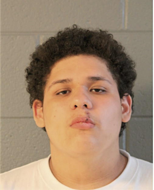 CARLOS GUZMAN, Cook County, Illinois