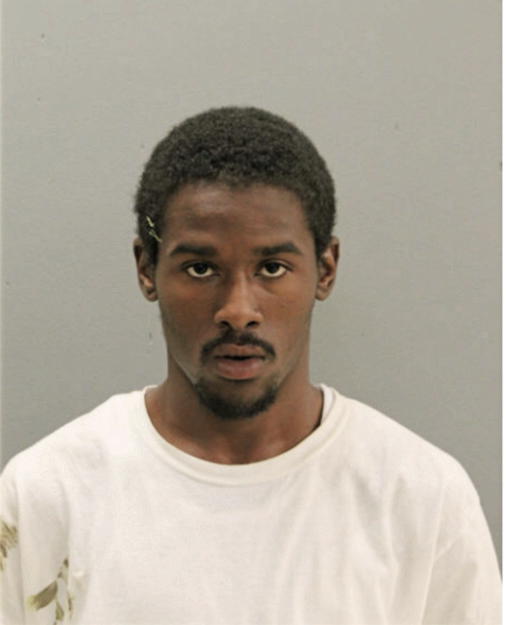 KENJI R HAWTHORNE, Cook County, Illinois