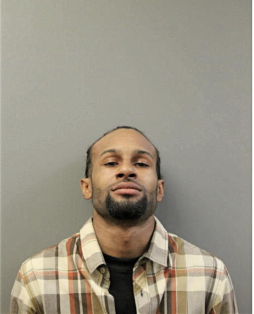 BRANDON L IVORY, Cook County, Illinois