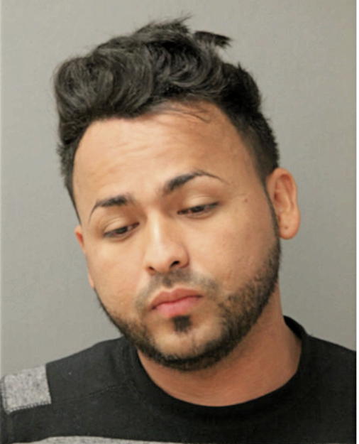 LESTER G LINARES-RODAS, Cook County, Illinois