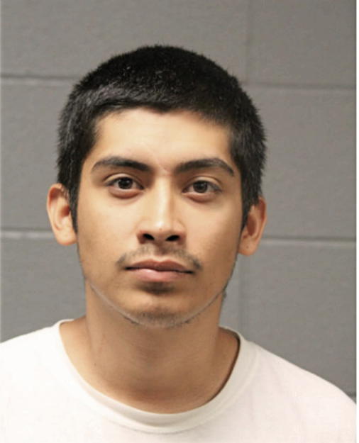 BRYAN MUNOZ, Cook County, Illinois