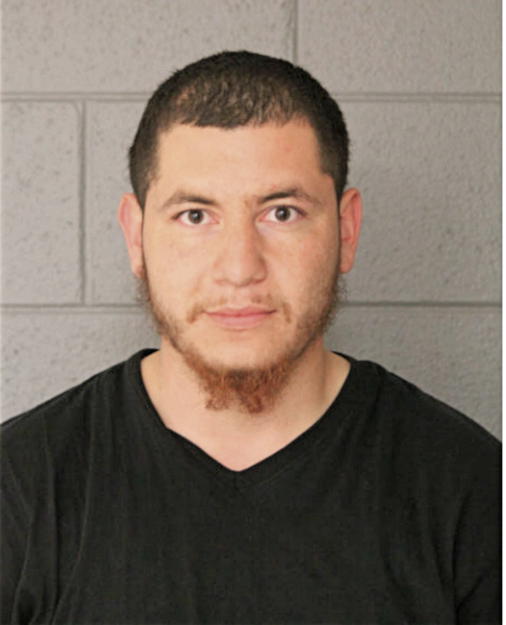 ARIEL NAVA, Cook County, Illinois