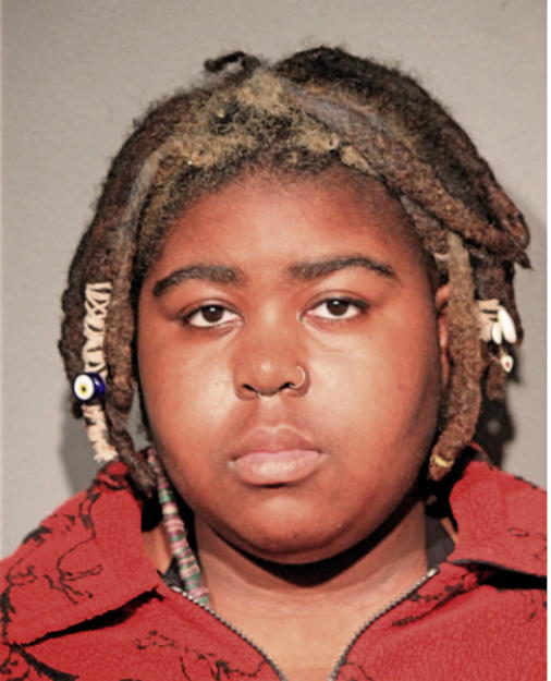 EBUN Z NAZON-POWER, Cook County, Illinois
