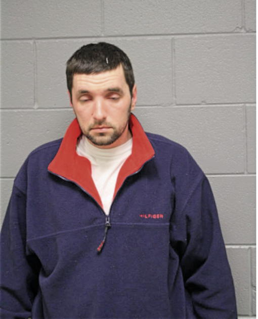 NIKOLIC NENAD, Cook County, Illinois