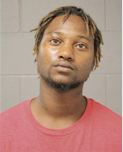 DESMOND D NOBLE, Cook County, Illinois
