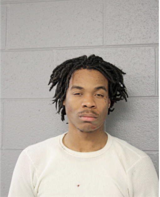 LEE J STEVENSON, Cook County, Illinois