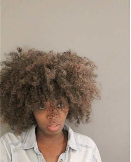 BRANDI F THOMPSON, Cook County, Illinois