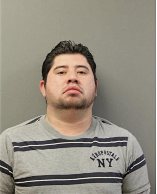JOSE L TORRES, Cook County, Illinois