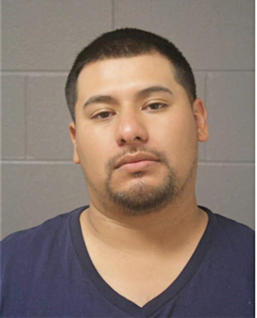 ALEJANDRO VARGAS, Cook County, Illinois