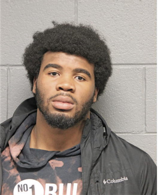 CHRISTOPHER R WILLIAMS, Cook County, Illinois