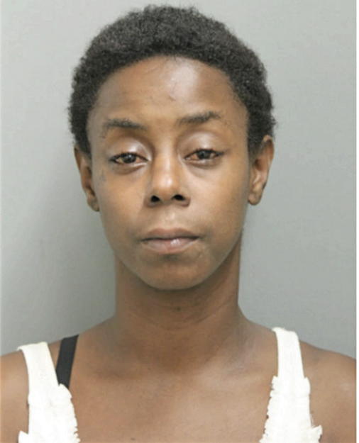 NINA M WILLIAMS, Cook County, Illinois