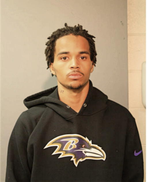 TERRELL D WYATT, Cook County, Illinois