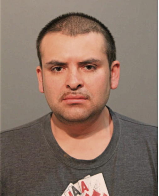 ESTEBAN ACOSTA, Cook County, Illinois