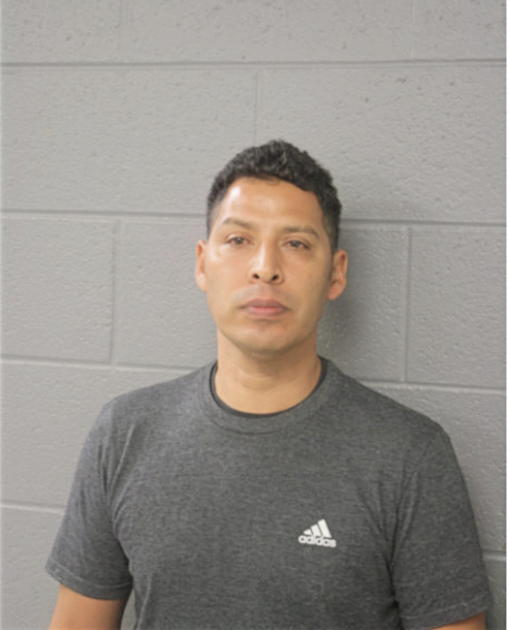 JUAN M AMAYA, Cook County, Illinois