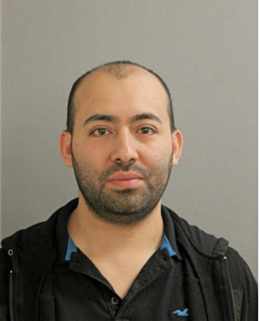 JOSE ANDRADE, Cook County, Illinois
