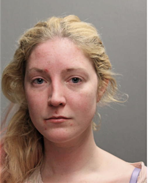 ELIZABETH A BAKER, Cook County, Illinois