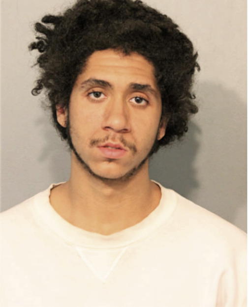 JOSHUA C BRADLEY, Cook County, Illinois