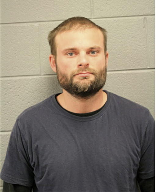 DENNIS M BRUNKEN, Cook County, Illinois