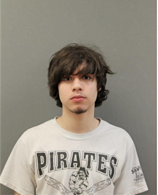 LUIS FELIPE DOMINGUEZ, Cook County, Illinois