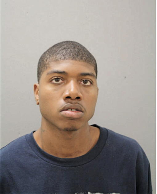 LARRY E GEE, Cook County, Illinois
