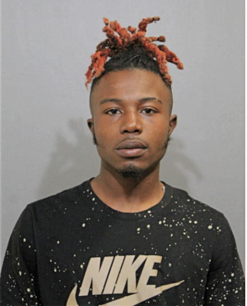 BRIAN P HENDERSON, Cook County, Illinois