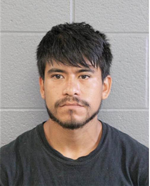 ISMAEL HERNANDEZ, Cook County, Illinois