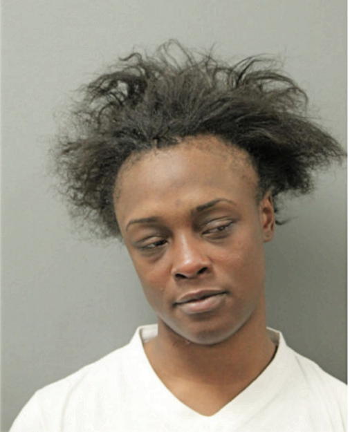 ASHLEY L HOLSTON, Cook County, Illinois