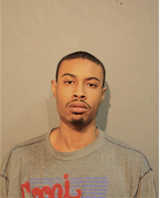 BRIAN A HORTON, Cook County, Illinois