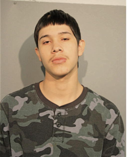 GILBERTO MARTINEZ, Cook County, Illinois