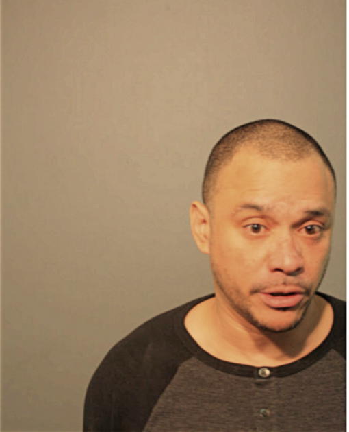 PEDRO L MENENDEZ, Cook County, Illinois