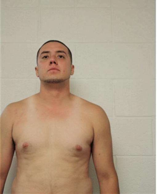 JONATHAN PONCE, Cook County, Illinois
