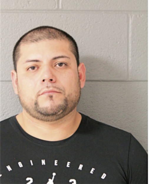 JOSE L PUGA, Cook County, Illinois