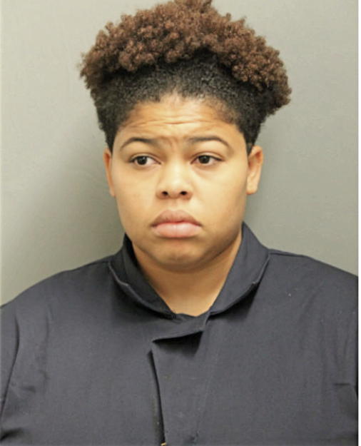 ANGALIQUE E ROLLINS, Cook County, Illinois