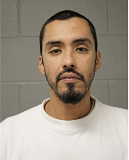 FIDEL ROMERO, Cook County, Illinois