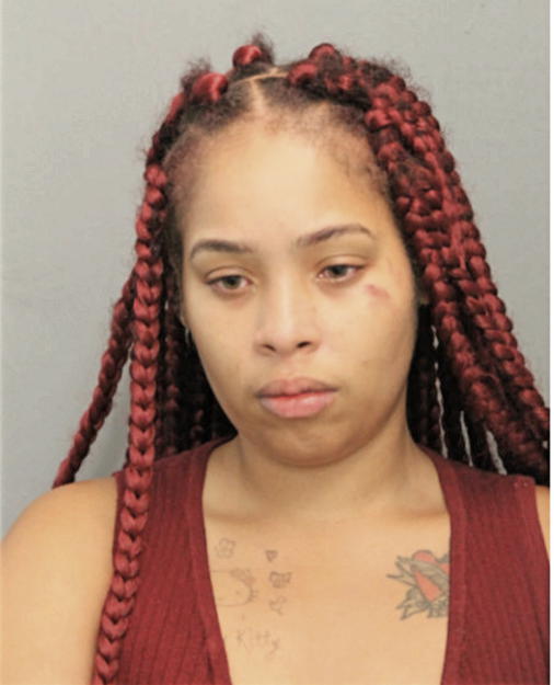 LYNDSEY J RUNNELS, Cook County, Illinois