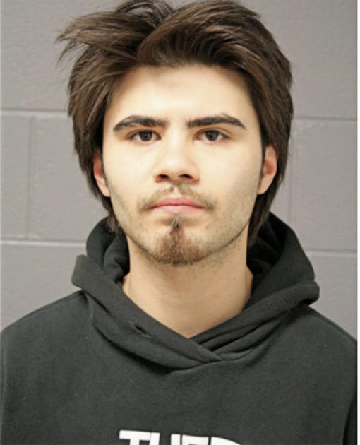 ANTHONY E SANTIAGO, Cook County, Illinois