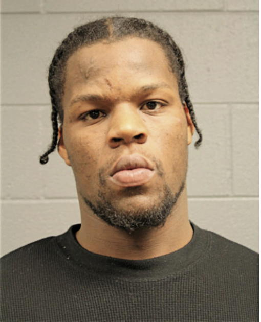 MICHAEL B SMITH, Cook County, Illinois