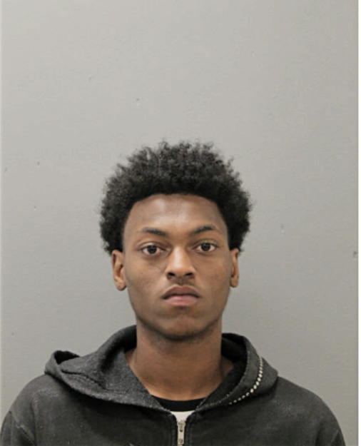 DESHAUN N SPEARS, Cook County, Illinois