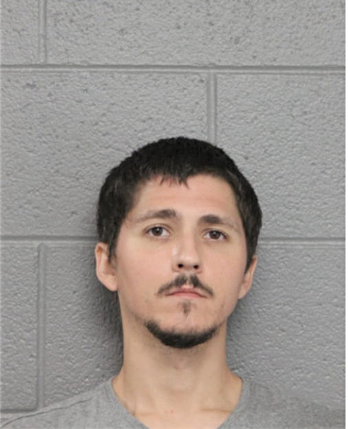 JONATHAN D TAMAS, Cook County, Illinois