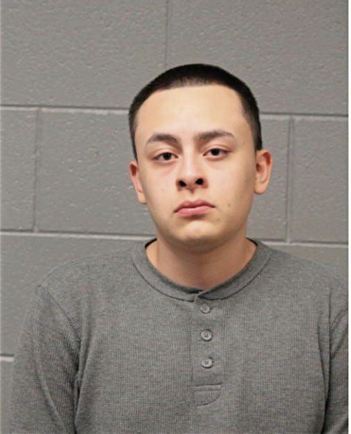 ADAM TREJO, Cook County, Illinois