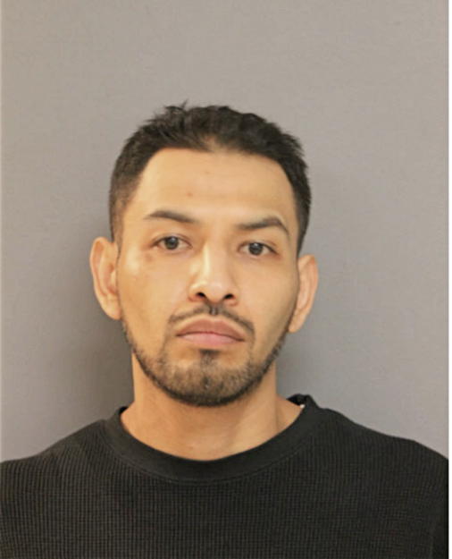 CARLOS UGARTE, Cook County, Illinois