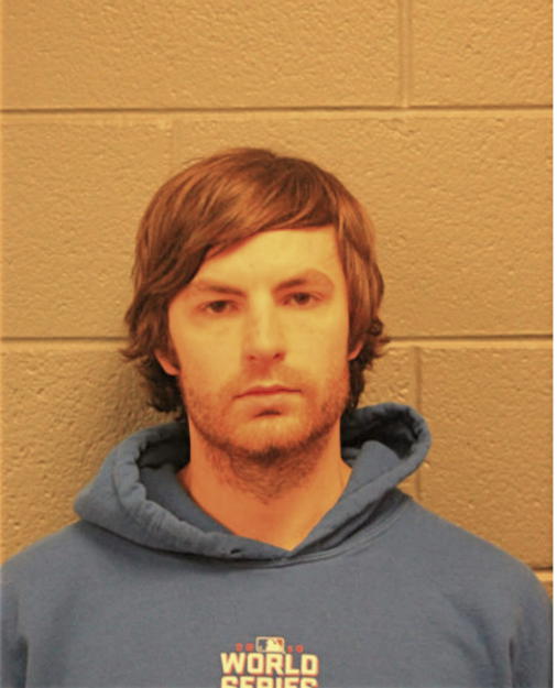 MICHAEL E VARGA, Cook County, Illinois