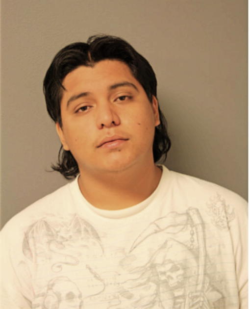ELMO B VIRGEN, Cook County, Illinois