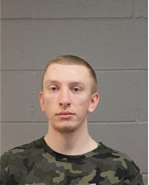 TYLER DAVID ZELENY, Cook County, Illinois