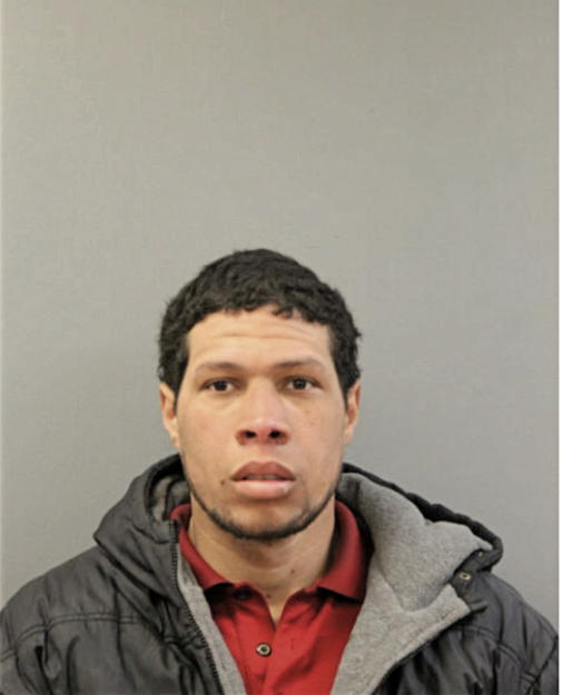 CHRISTIAN D ANDINO, Cook County, Illinois