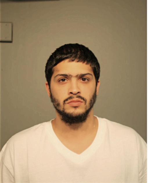 MICHAEL A AQUINO, Cook County, Illinois